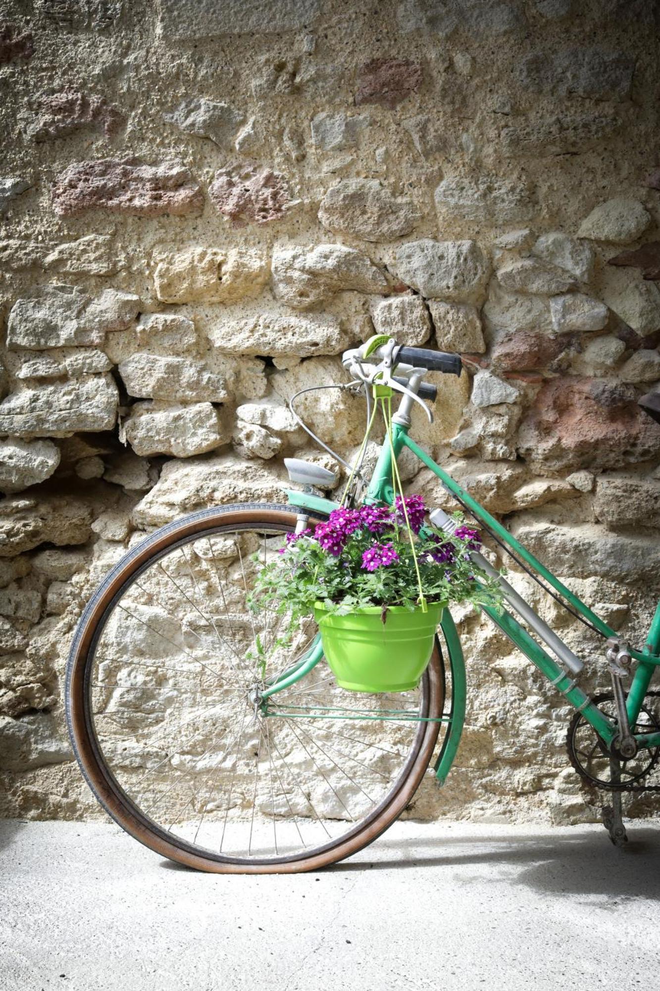 Les Ecrivains At Domaine Le Touran Near Saint Emilion Villa Pellegrue Exterior foto