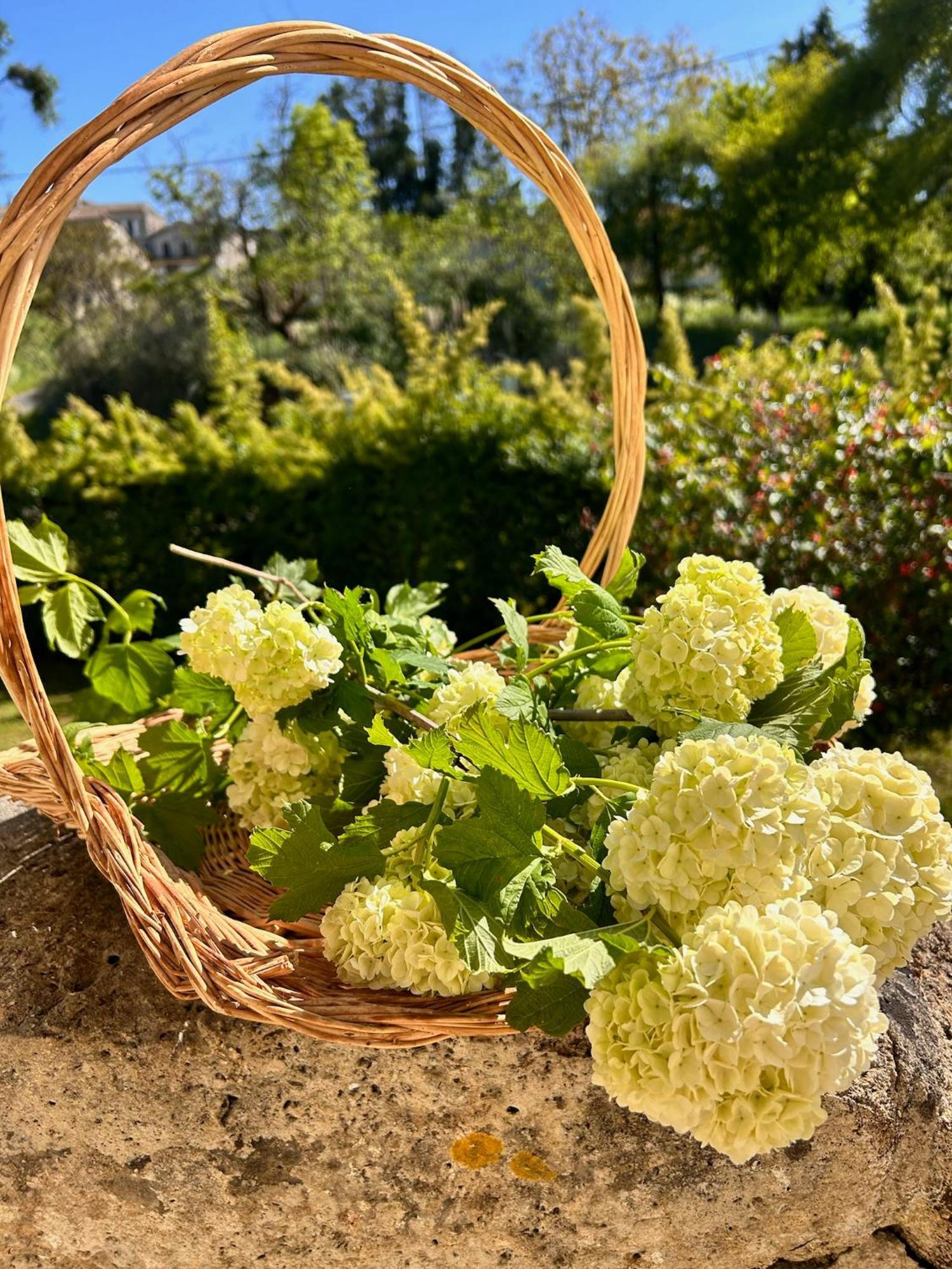 Les Ecrivains At Domaine Le Touran Near Saint Emilion Villa Pellegrue Exterior foto