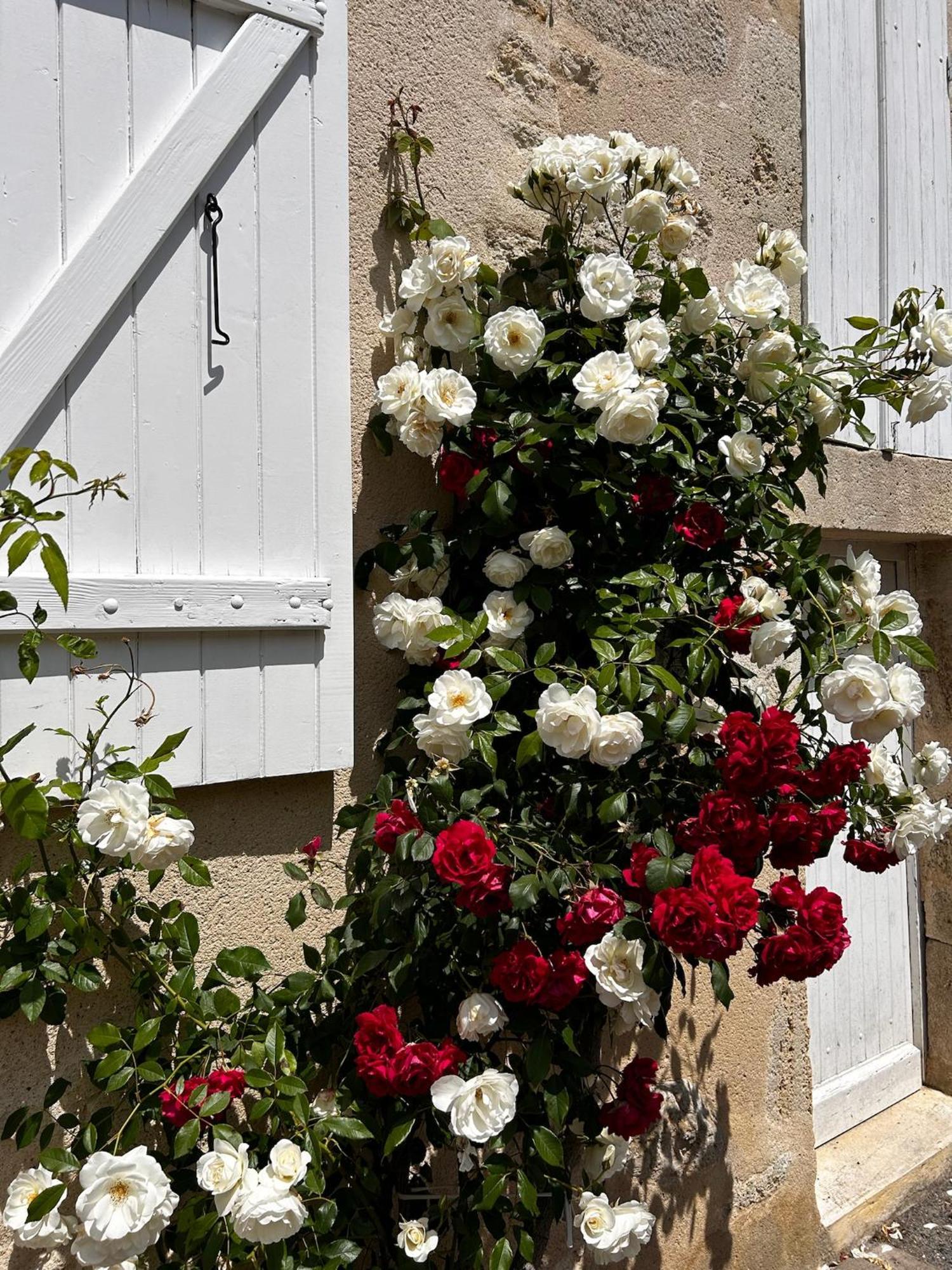 Les Ecrivains At Domaine Le Touran Near Saint Emilion Villa Pellegrue Exterior foto